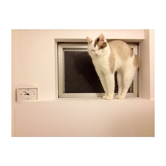 keicoconutsさんの実例写真