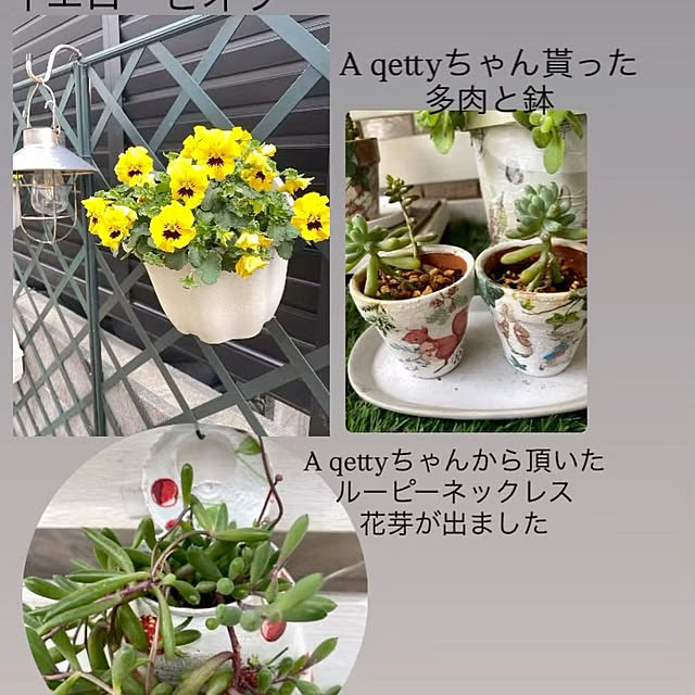 YuuKoさんの実例写真