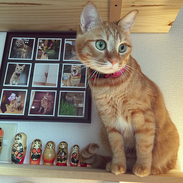 hanaさんの実例写真