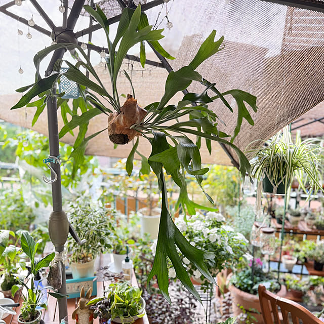 Aqettyさんの実例写真