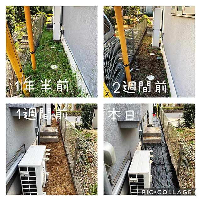 kaerunoameriさんの実例写真