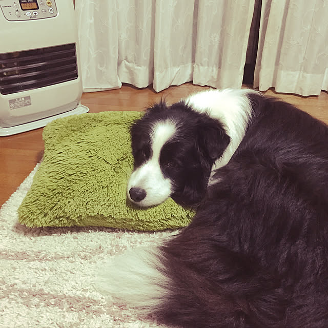 ronさんの実例写真