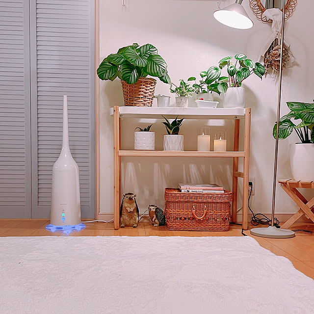 milkcocoaさんの実例写真