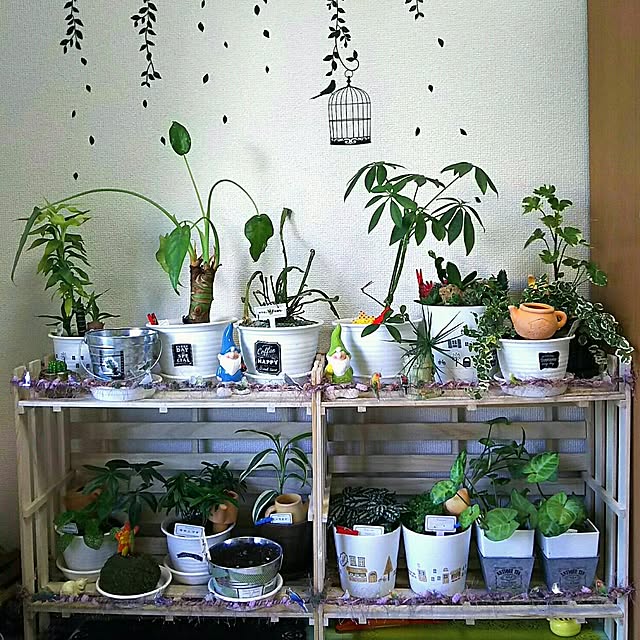 Emikoさんの実例写真