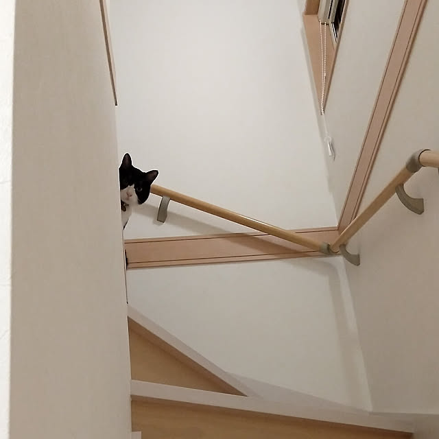 Helloさんの実例写真
