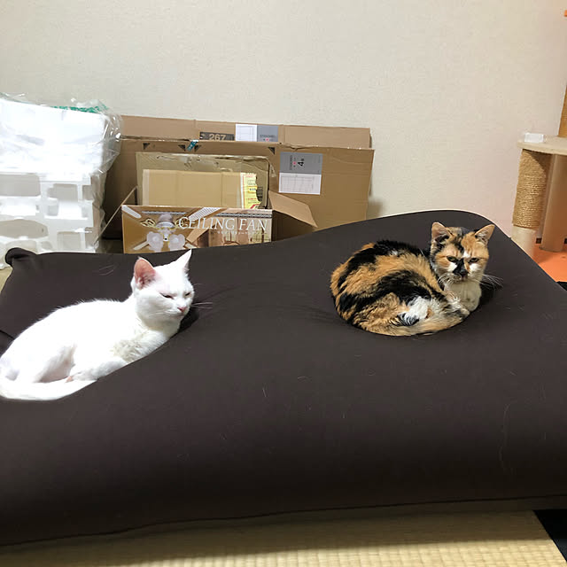 kanadeさんの実例写真
