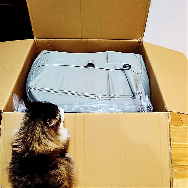 akiko6193さんの部屋