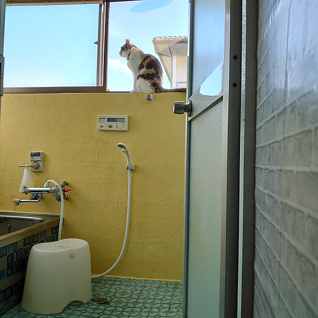 fukuさんの実例写真