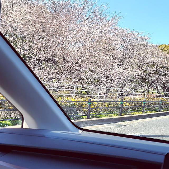 r0siereさんの実例写真