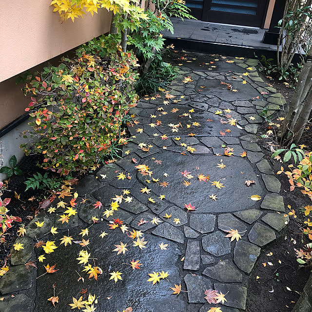 mikiさんの実例写真