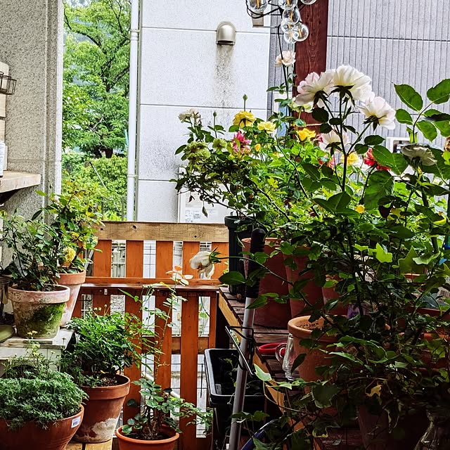 kazuさんの部屋