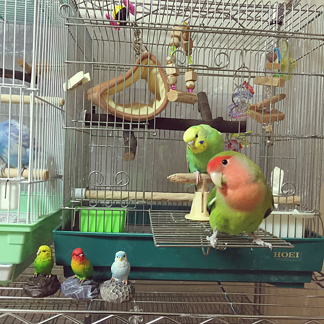 toratanさんの実例写真