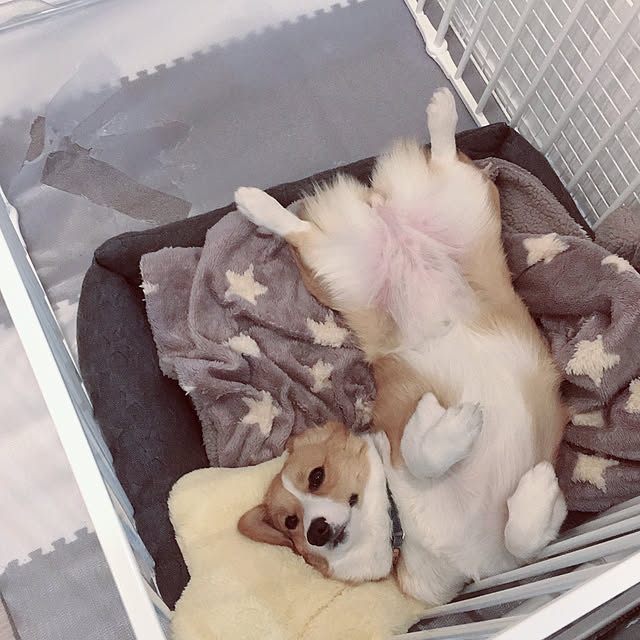 3ayuさんの実例写真