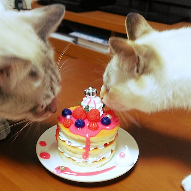 mzk5678910さんの実例写真