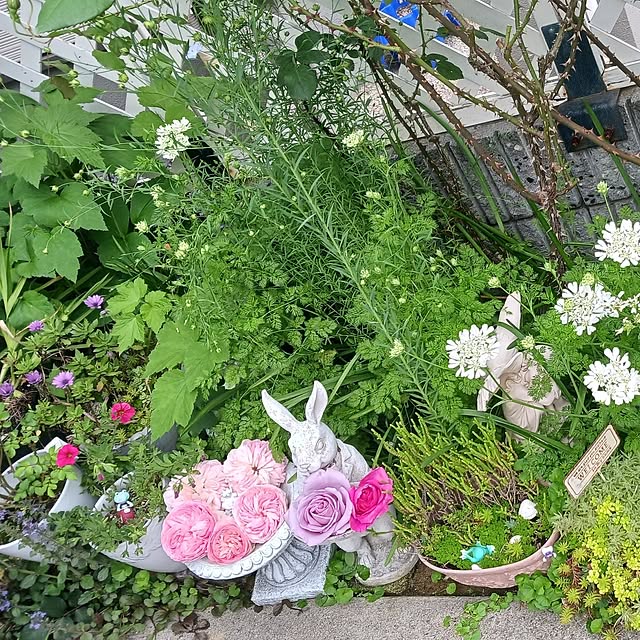 aiさんの部屋