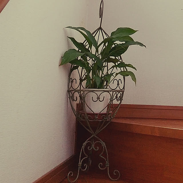 koyutan-mjmさんの実例写真