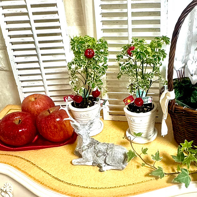 cocoさんの実例写真