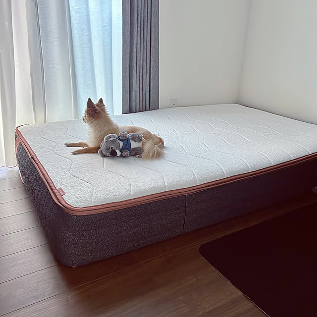 chimさんの実例写真