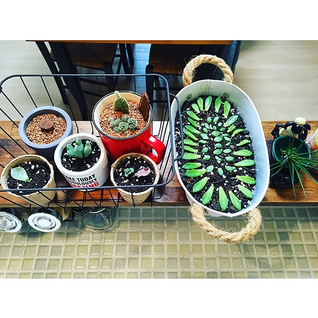 uchida_1202さんの実例写真