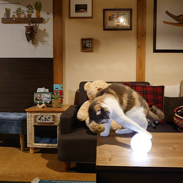 fukuさんの実例写真