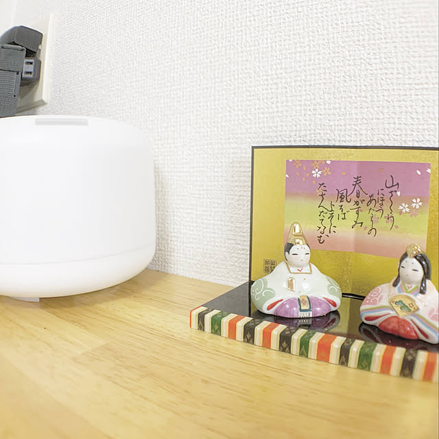 ナチュラル/無印良品/壁/天井のインテリア実例 - 2021-05-23 11:41:46