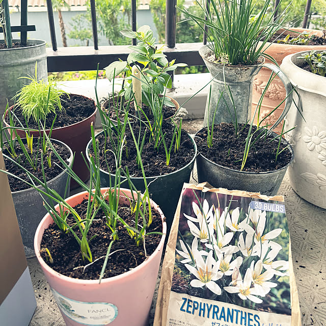 syutmmさんの実例写真