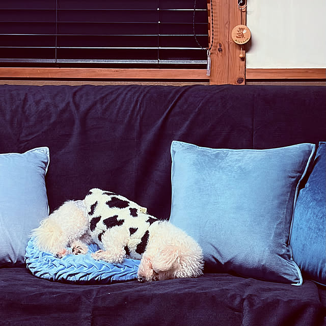 chacoさんの実例写真