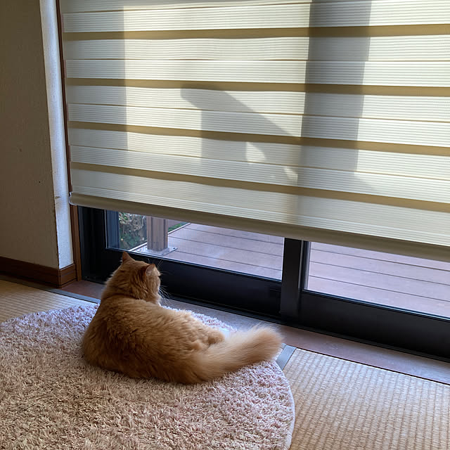 satoraさんの実例写真