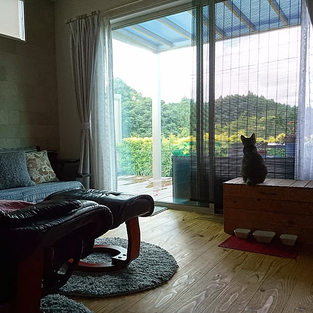 38catさんの実例写真