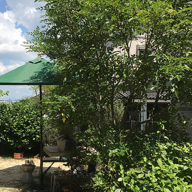 nyanko-beamさんの実例写真