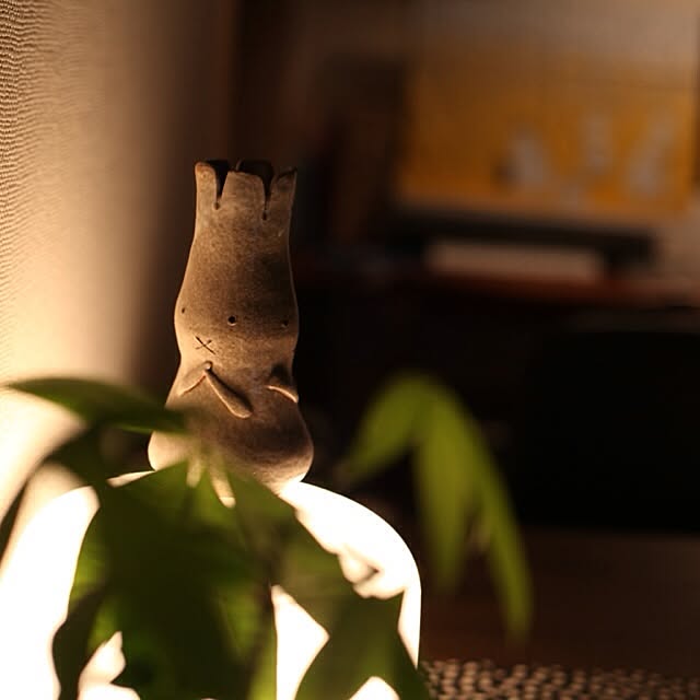 usaginohaijiさんの実例写真