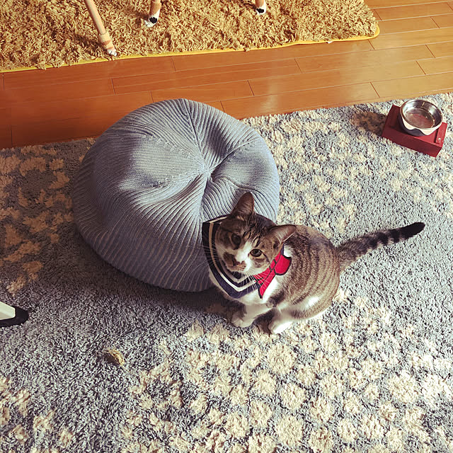 jijiさんの実例写真
