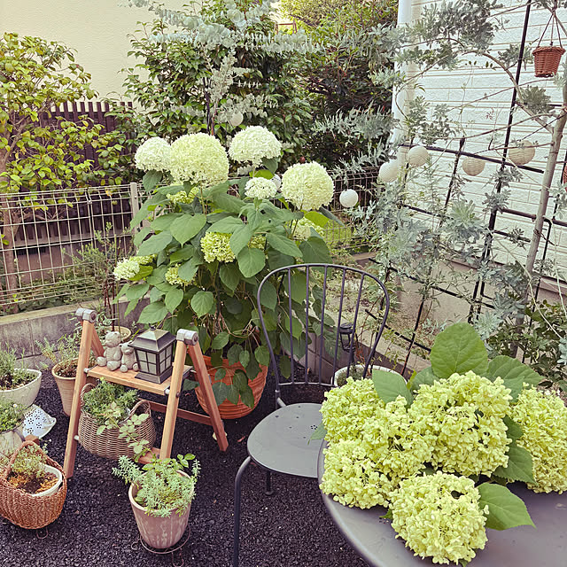 sariさんの部屋
