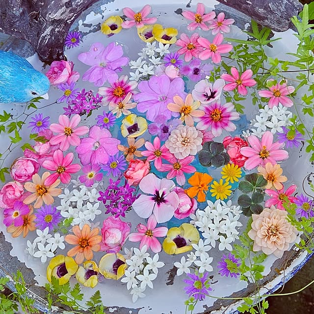 mocomocoさんの部屋