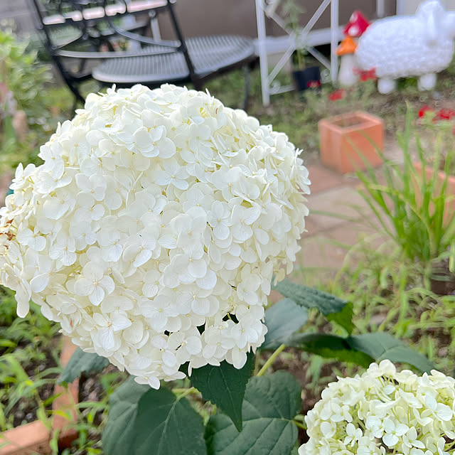 eriharuさんの部屋