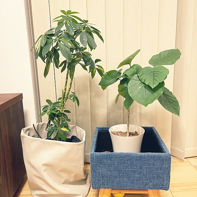 mさんの部屋