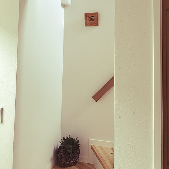 naaayuuさんの実例写真