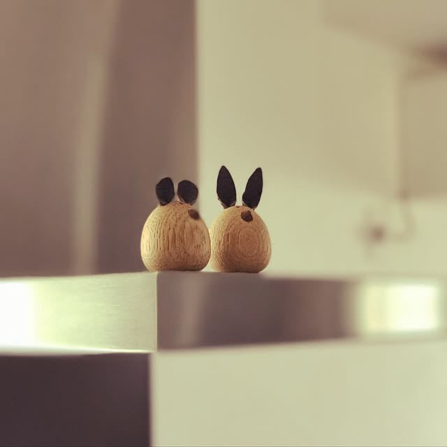 キッチン/アリアフィーナのインテリア実例 - 2017-06-19 11:26:50