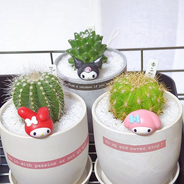 tamiさんの部屋