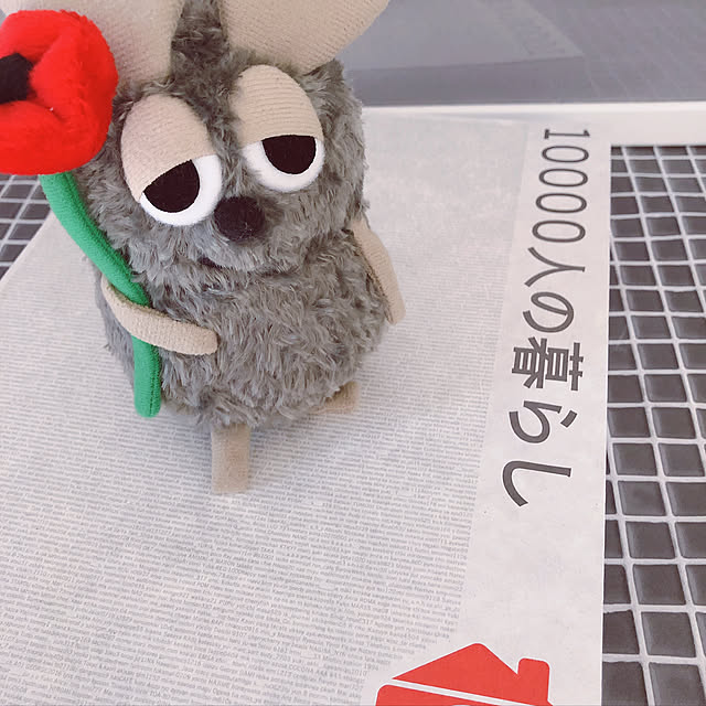 izuizuさんの実例写真