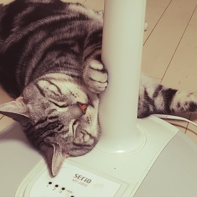 hiro_mashさんの実例写真