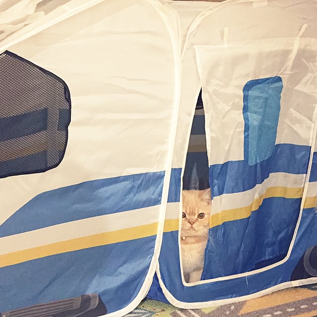 cocoさんの実例写真