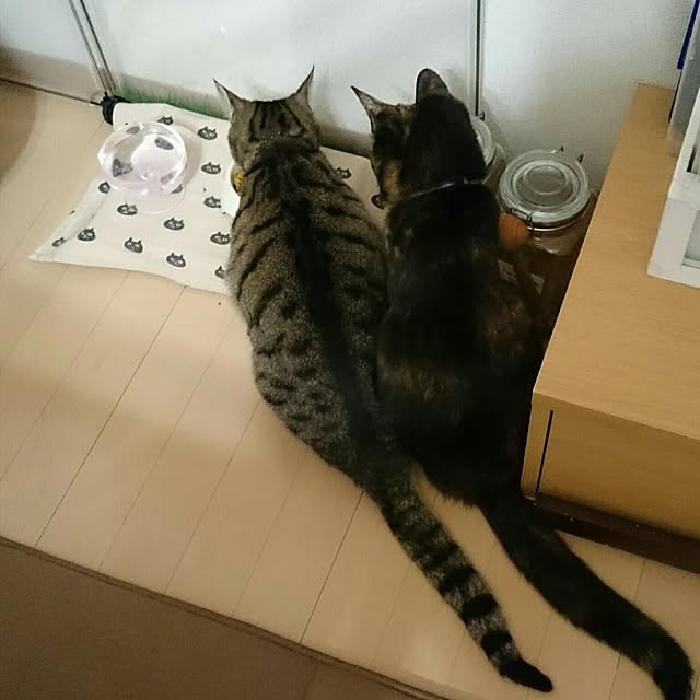 nanoさんの実例写真