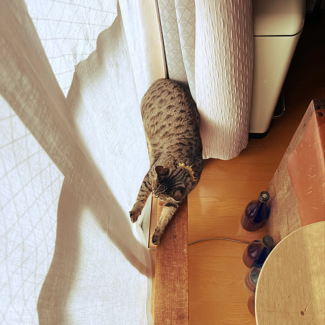 Mさんの実例写真