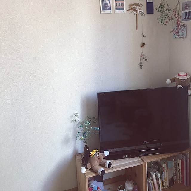 sanさんの実例写真