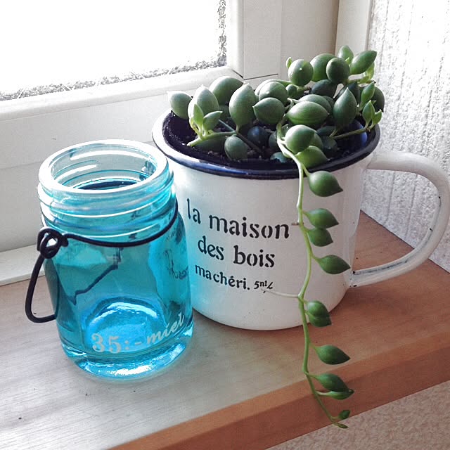 pinokoさんの実例写真