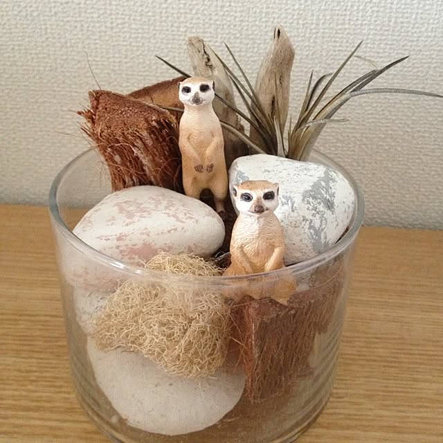 yokoさんの実例写真