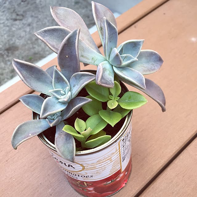 mukamukaさんの実例写真