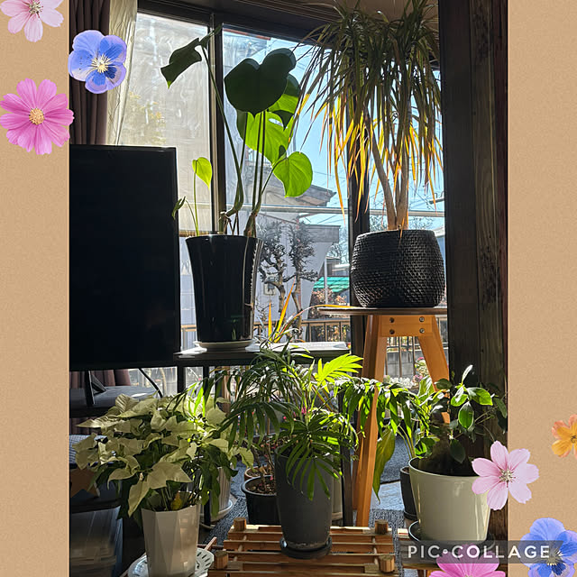 Smilkazuさんの部屋