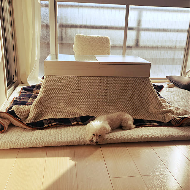 YumiUさんの実例写真